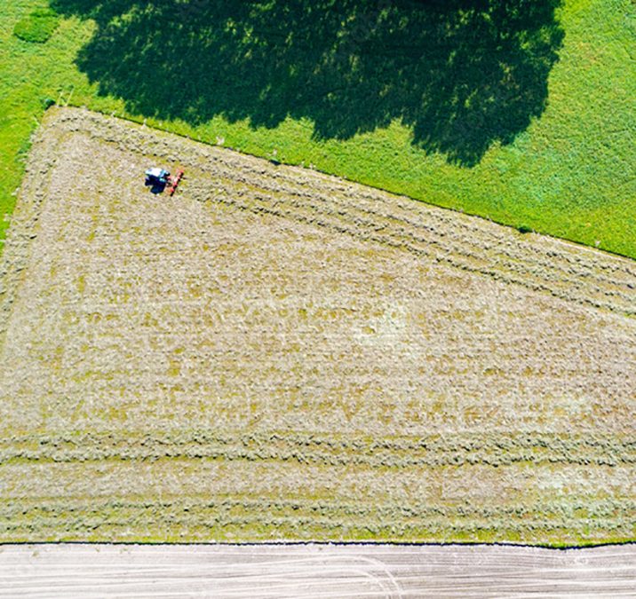 liberto-chi-siamo-galleria-img_2